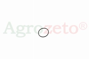 ORING 40x2 =974421
