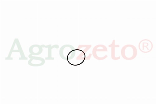 ORING 40x2 =974421