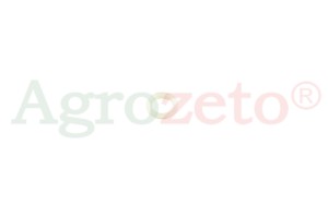 USZCZELKA ZAWORU =930306