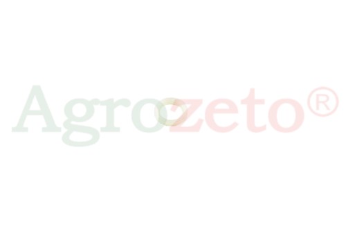 USZCZELKA ZAWORU =930306