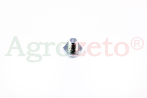 ŚRUBA SWORZNIA DŹWIGNI  55113945