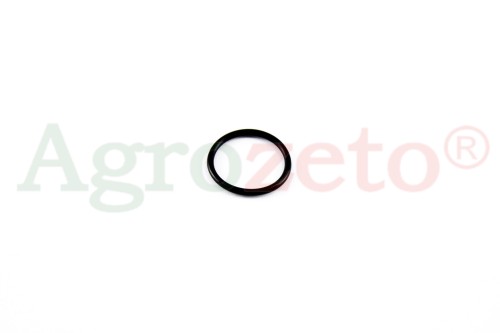 ORING 20x2