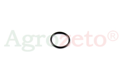 ORING 25x21