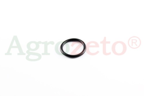 ORING 52x42
