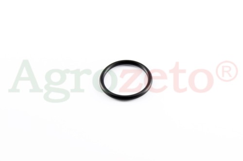 ORING 63x53