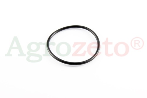 ORING 110x100 =974282