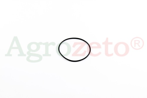 ORING 60x2