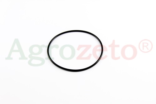 ORING 100x3
