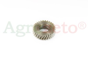 DOLNE KOŁO POŚREDNIE CZESKIE  55010426