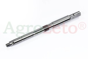 SWORZEŃ ZWROTNICY CZESKI