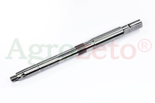 SWORZEŃ ZWROTNICY CZESKI