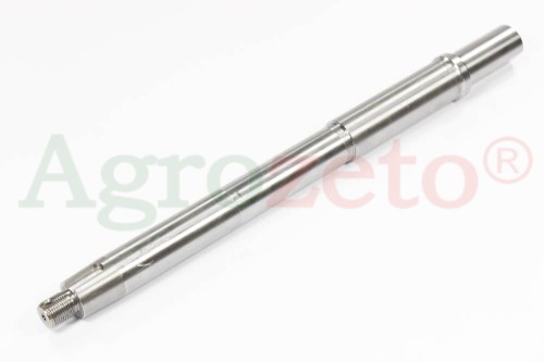 SWORZEŃ ZWROTNICY CZESKI