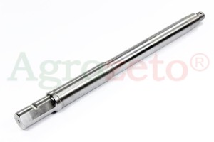 SWORZEŃ ZWROTNICY CZESKI