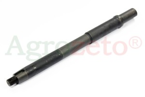 SWORZEŃ ZWROTNICY PL