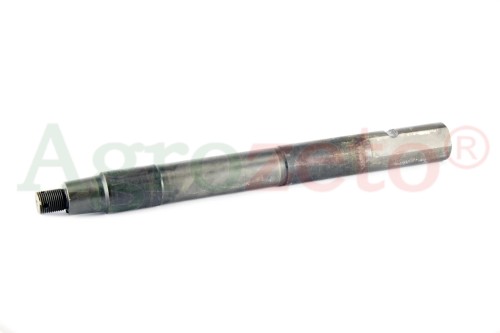 SWORZEŃ ZWROTNICY - ZAM. PL