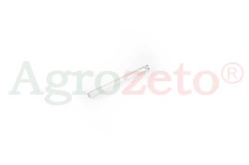 SWORZEŃ                60117960