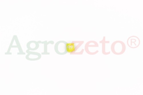 SYMBOL BLOKADY DYFERENCJAŁU TYLNEGO MOSTU