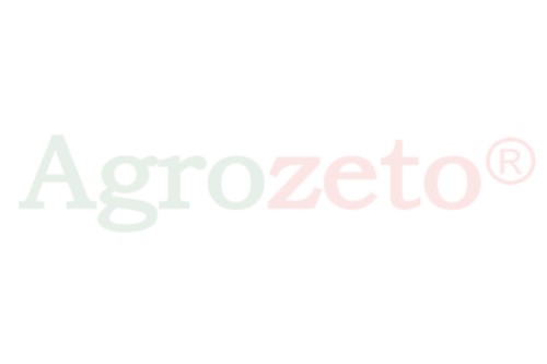 SZYBA TYLNA ZIELONA /ROZSTAW 80CM/