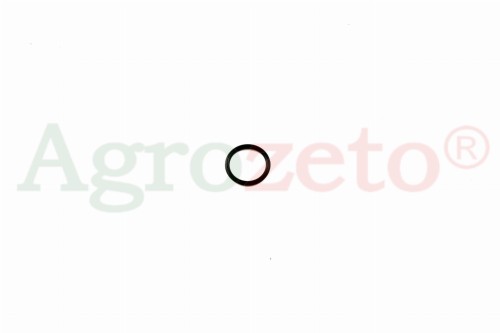ORING 19x2,5