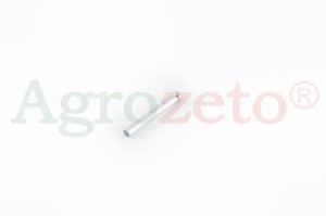 SWORZEŃ