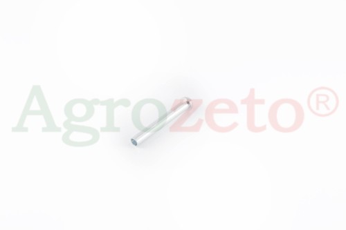 SWORZEŃ